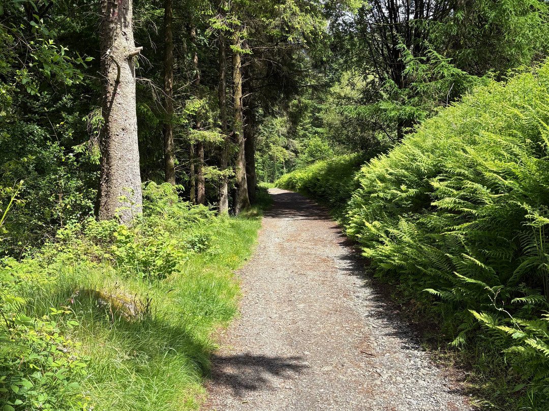 Glenariff Forest Park Caravan Park-Glenariff必去景点