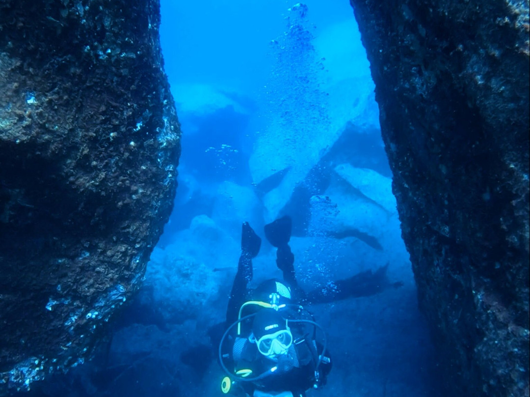 Dive Lovers Tenerife Dive Center-Costa del Silencio必去景点