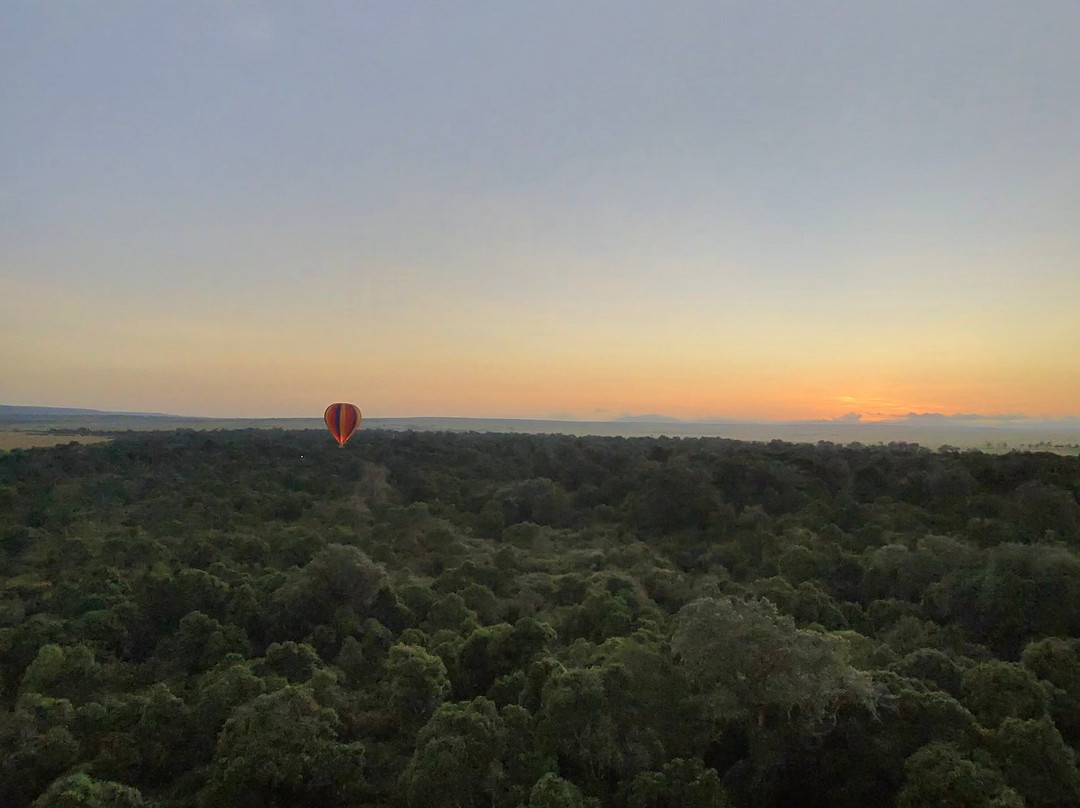 Governors’ Balloon Safaris-马赛马拉国家野生动物保护区必去景点