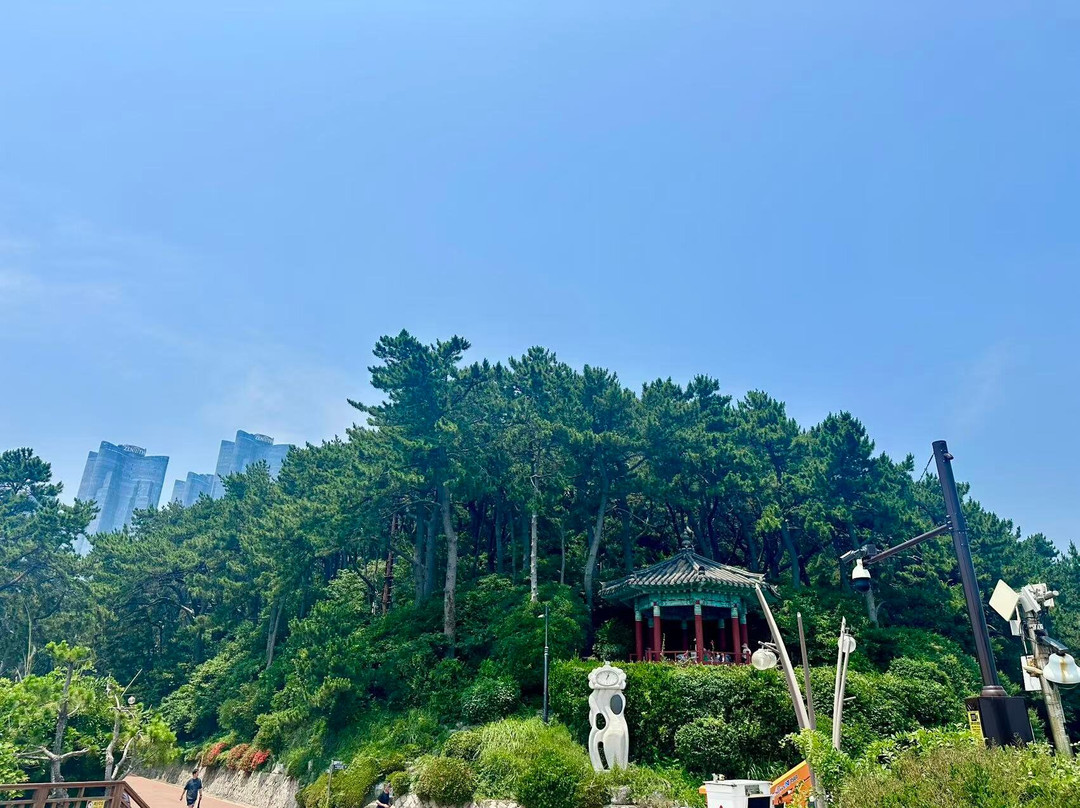 Dongbaekseom-釜山必去景点