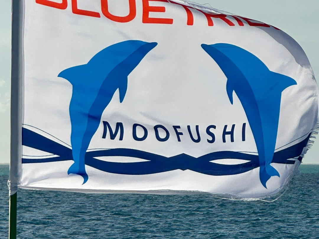 Diving Bluetribe Moofushi-南阿里环礁必去景点