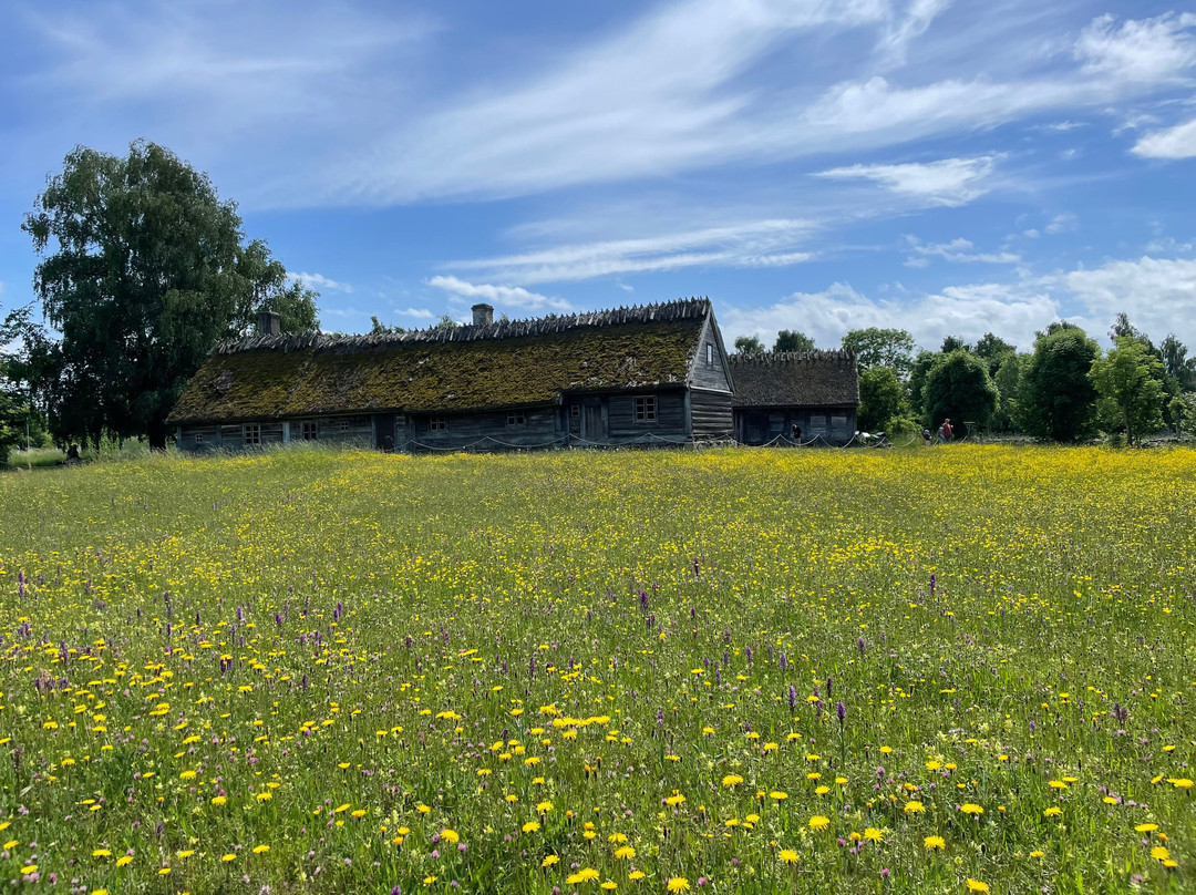 Fredriksdal Open-Air Museum and Botanical Garden-赫尔辛堡必去景点