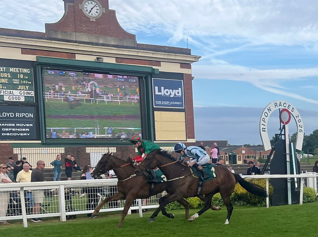 Ripon Racecourse-里彭必去景点