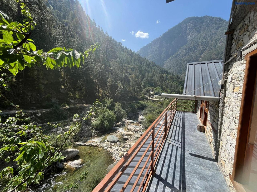 The Woods - Tirthan Valley