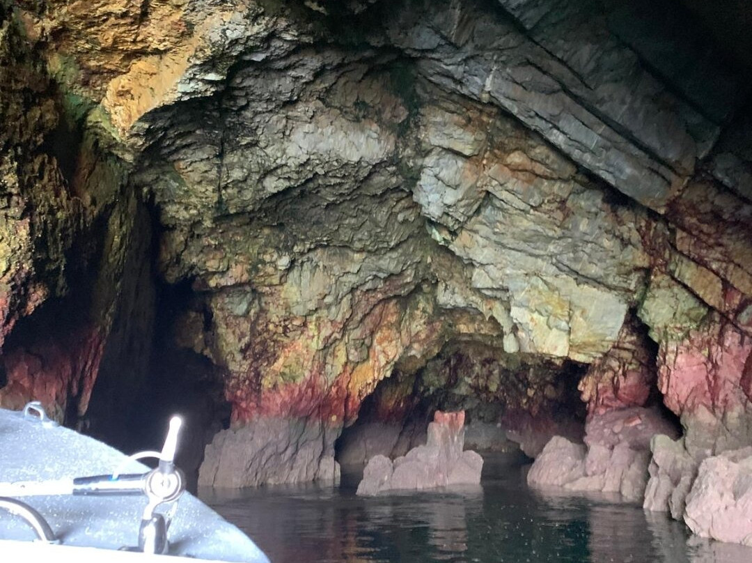 Vedettes Sirenes - Grottes Marines de Morgat-Morgat必去景点