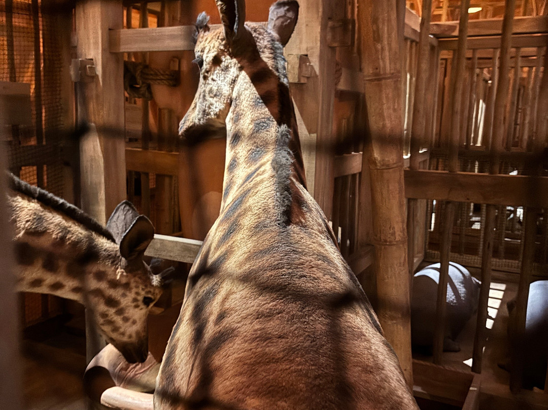 Ark Encounter-Williamstown必去景点