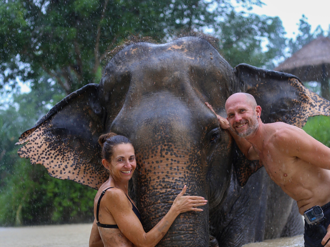 Maerim Elephant Sanctuary-夜林必去景点