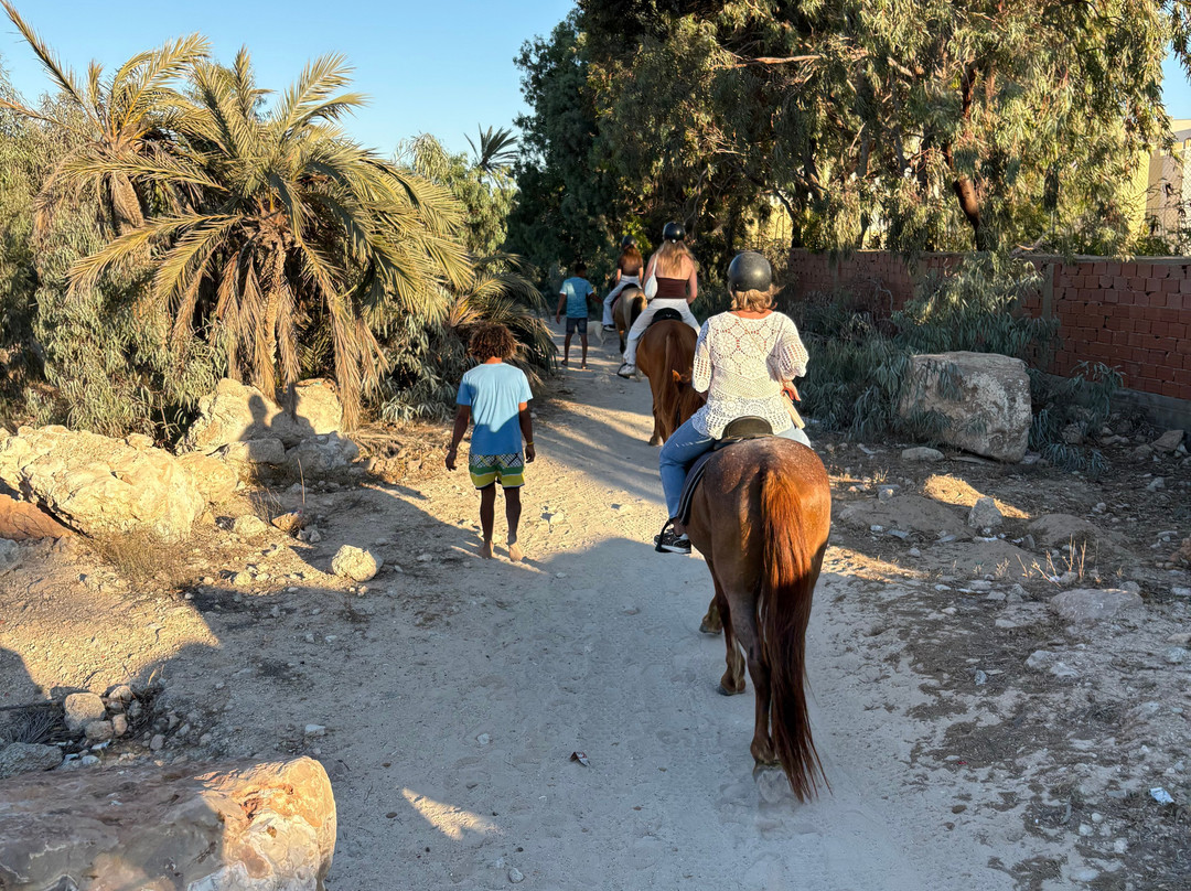 Ranch Adada Djerba-阿基尔必去景点