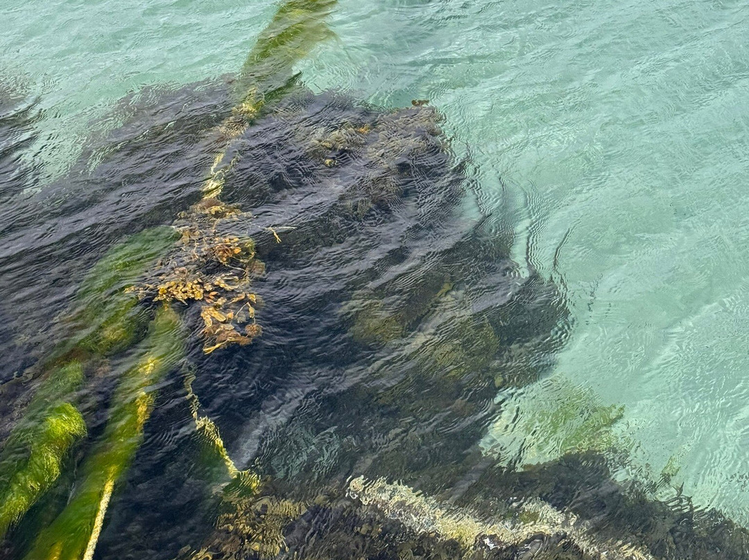 Isle of Barra-The Hebrides必去景点