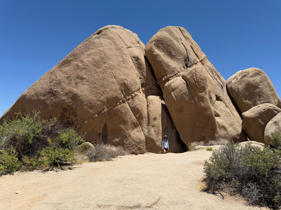 Joshua Tree National Park-约书亚树必去景点