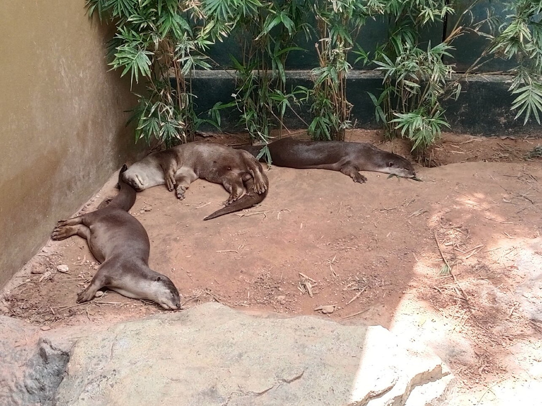 Angkor Wildlife & Aquarium-暹粒必去景点