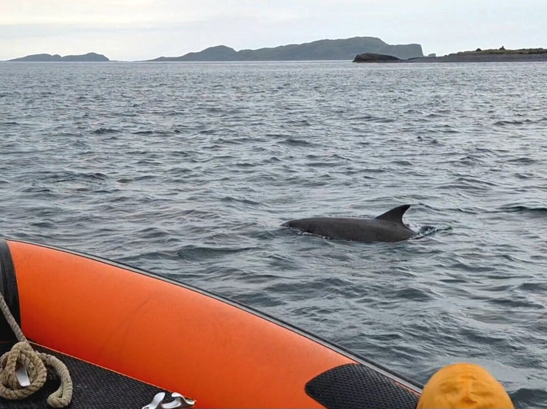 Seafari Adventures (Oban)-Ellenabeich必去景点