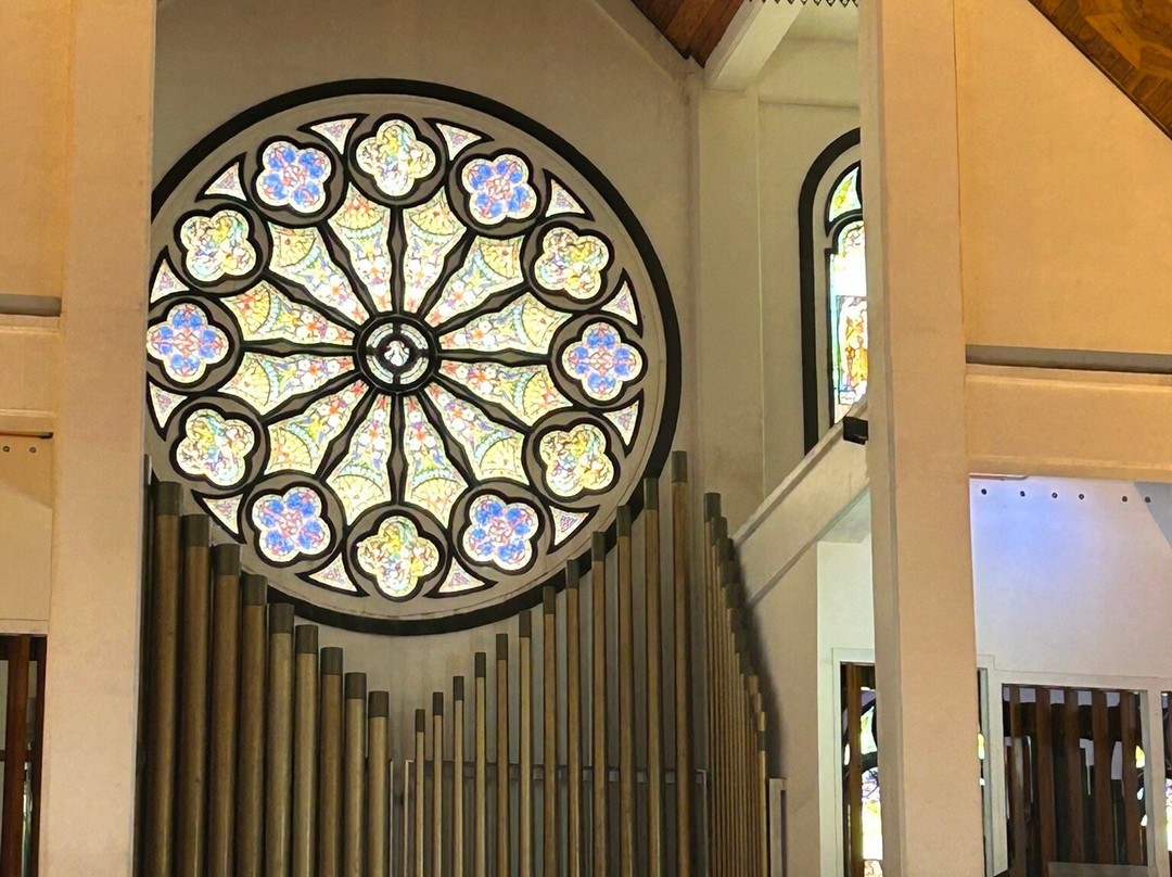 Immaculate Conception Cathedral-阿皮亚必去景点