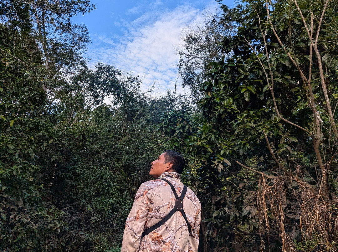 Curassow Amazon Lodge-伊基托斯必去景点