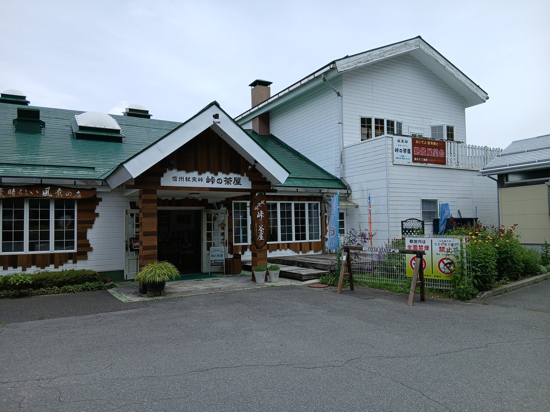 Tsuetsuki Pass Observatory-茅野市必去景点