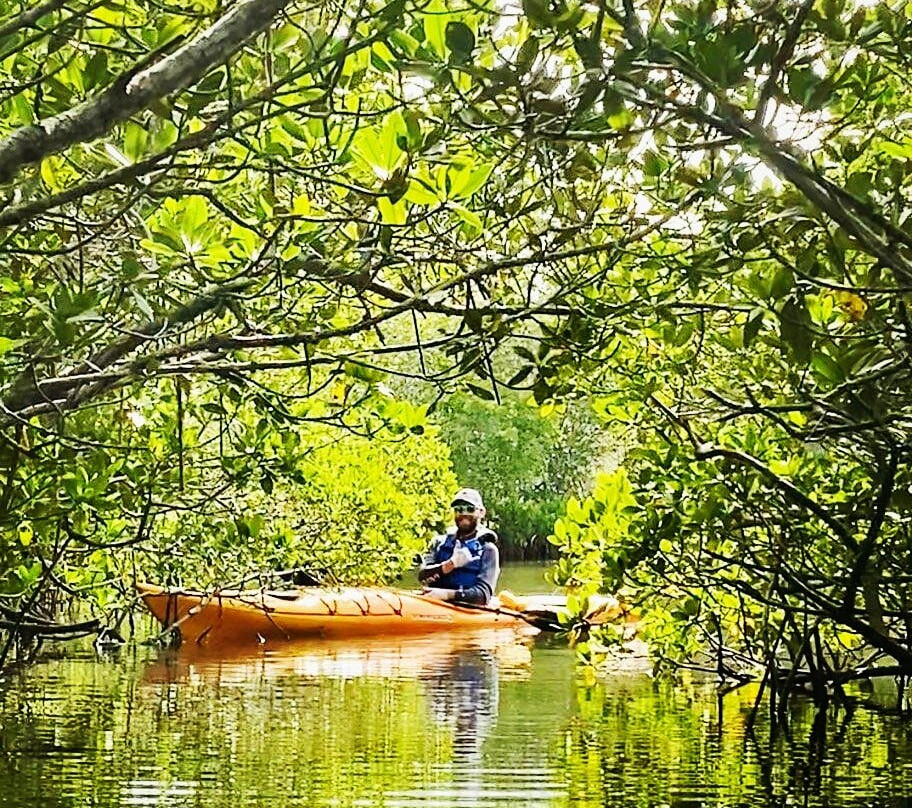 Ride and Paddle By Siesta Sports Rentals-西耶斯塔岛必去景点