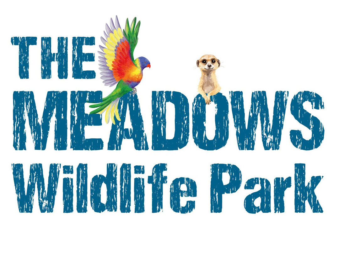The Meadows Farm-卡菲利必去景点