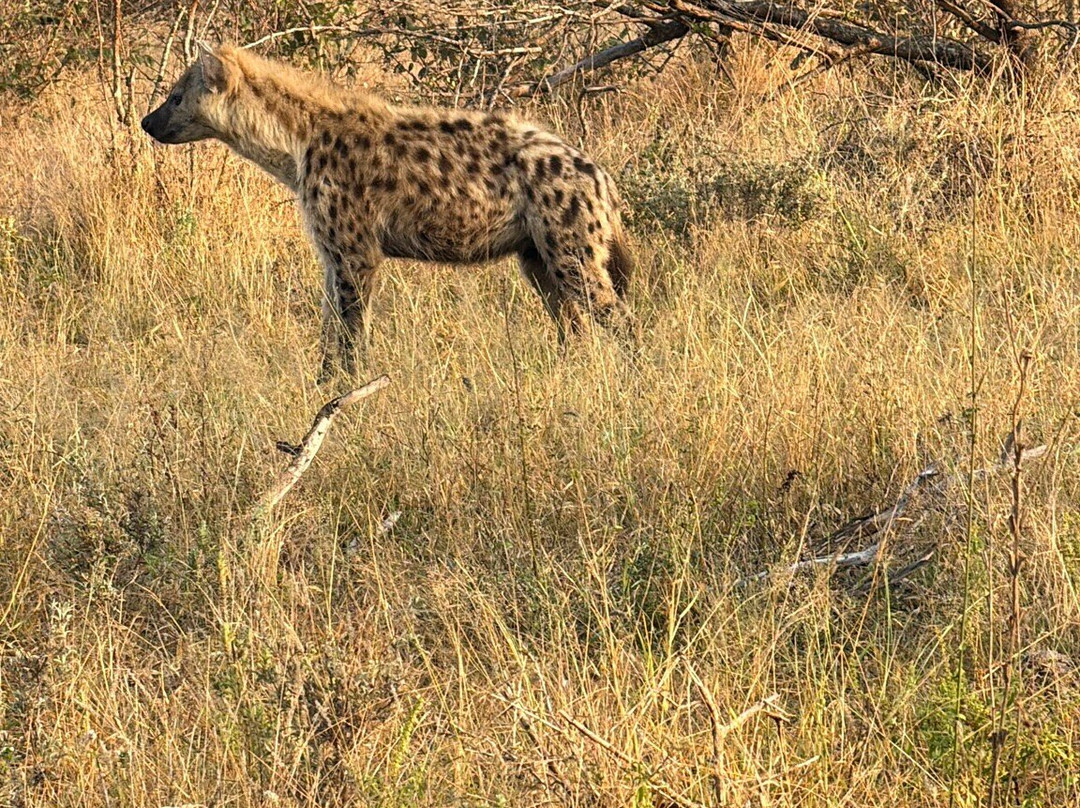 Ates Africa - Tours & Safaris-开普敦中心区必去景点