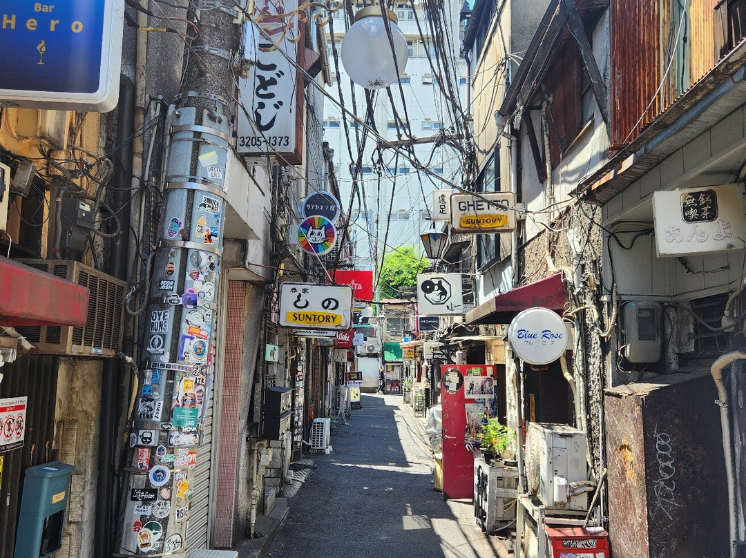 新宿黄金街-Kabukicho必去景点