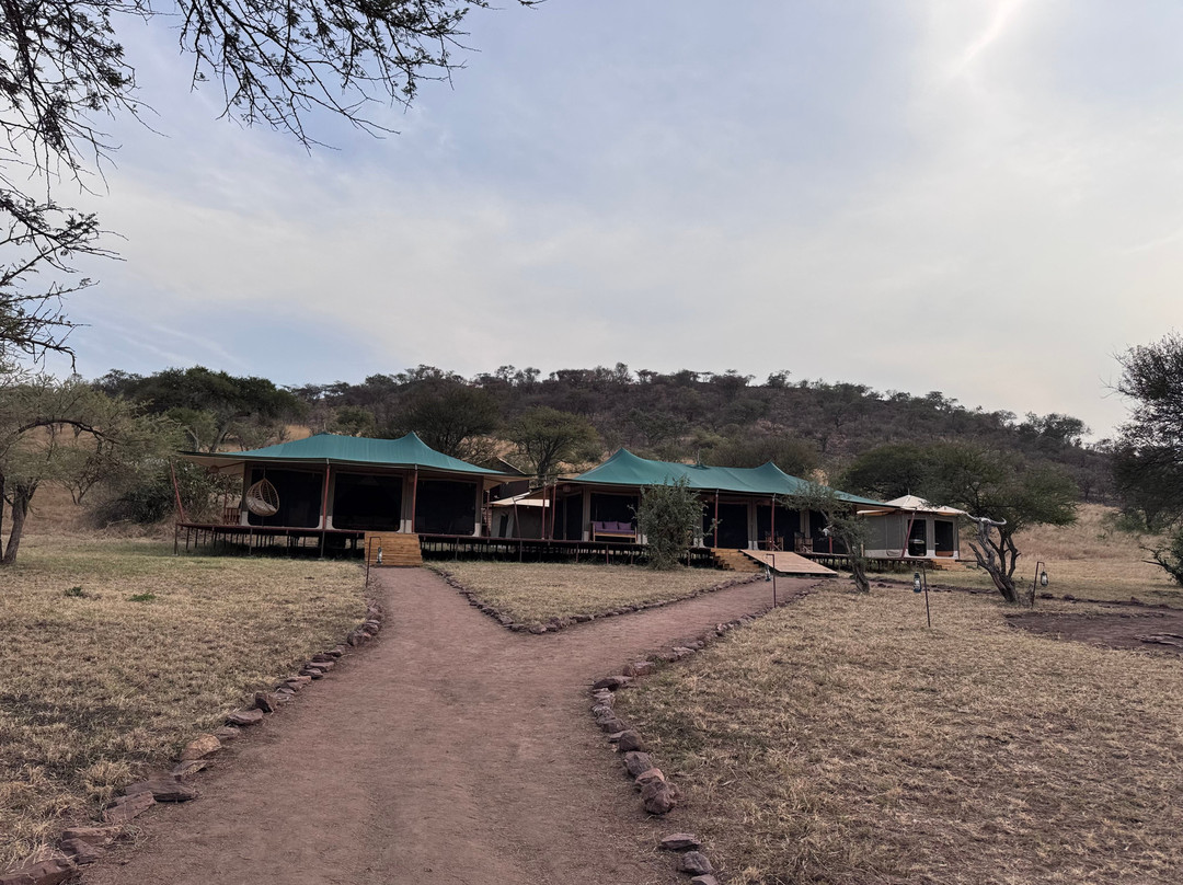 Friends Camps and Lodge-Seronera必去景点