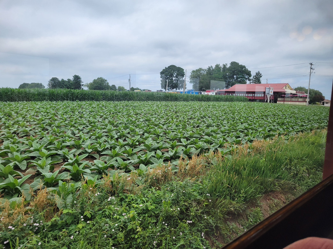 Kreider Farms-Manheim必去景点