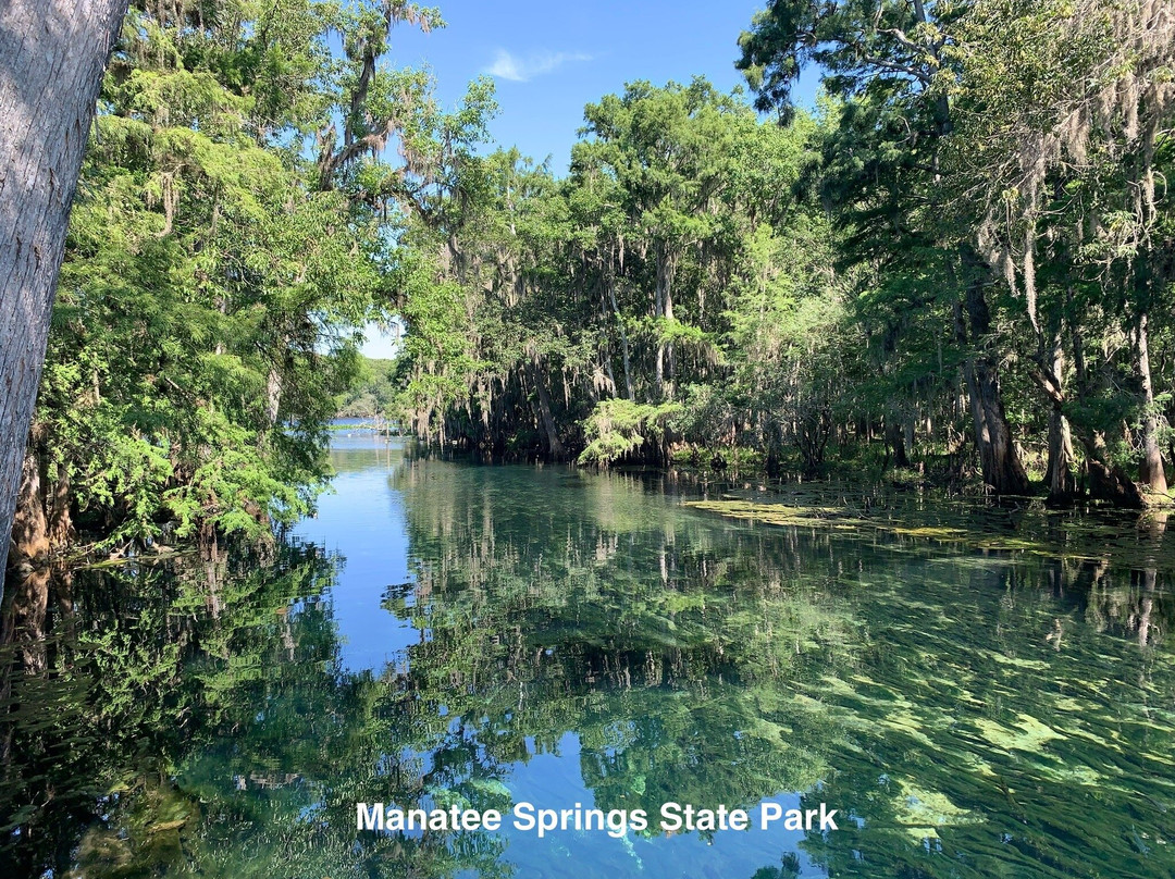 Manatee Springs State Park-Chiefland必去景点