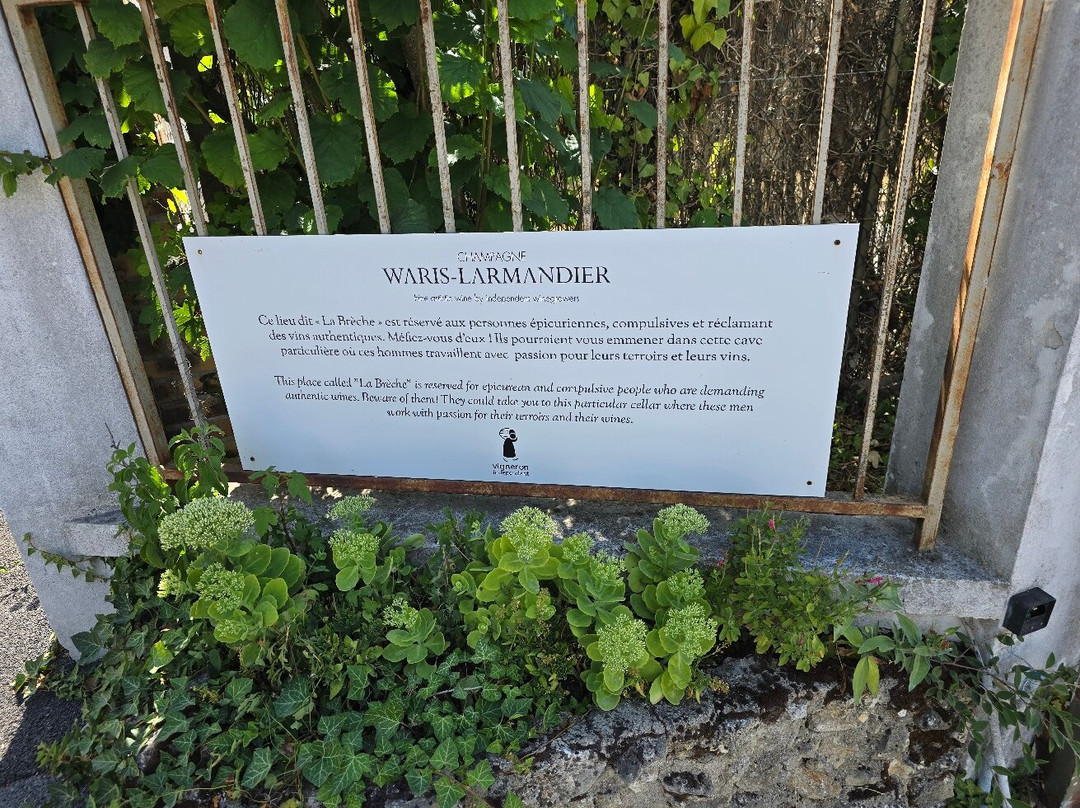 Champagne Waris Larmandier-Avize必去景点