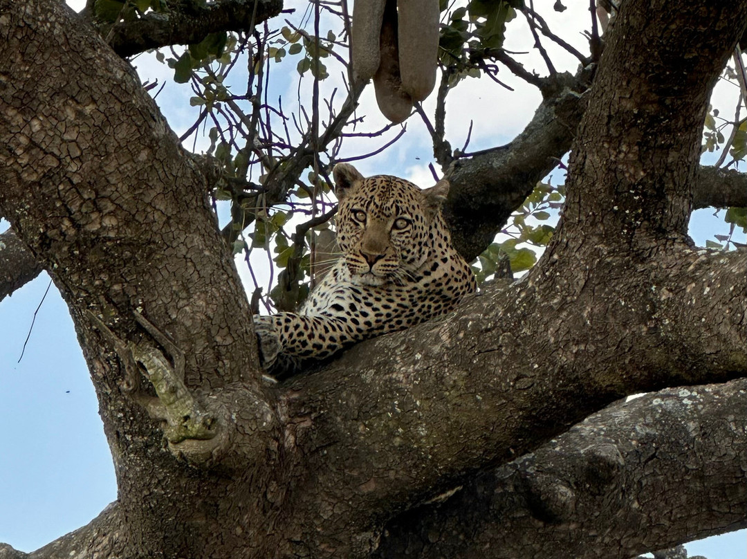 BADGER ADVENTURES TOURS & SAFARI-Arusha Chini必去景点