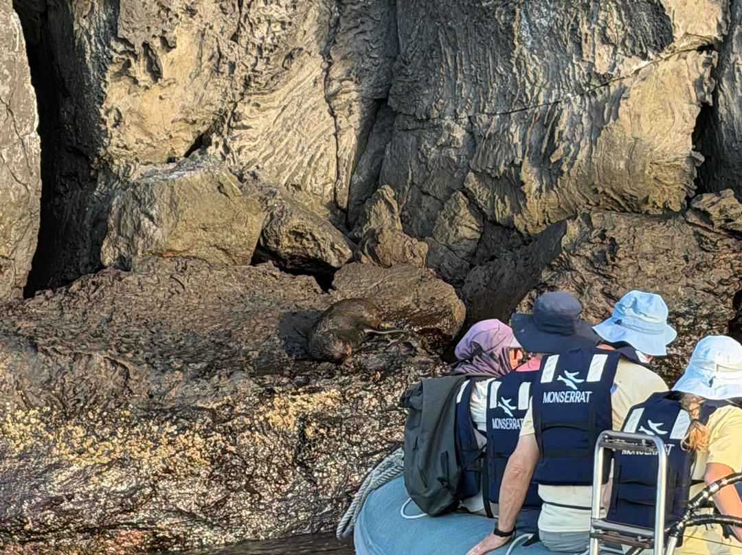 Monserrat Galapagos Cruises-阿约拉港必去景点