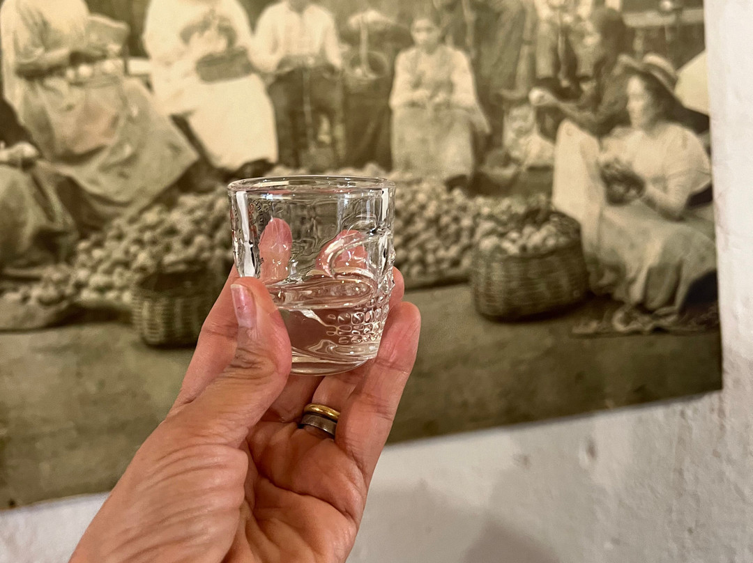 Fundo Los Nichos-Pisco Elqui必去景点