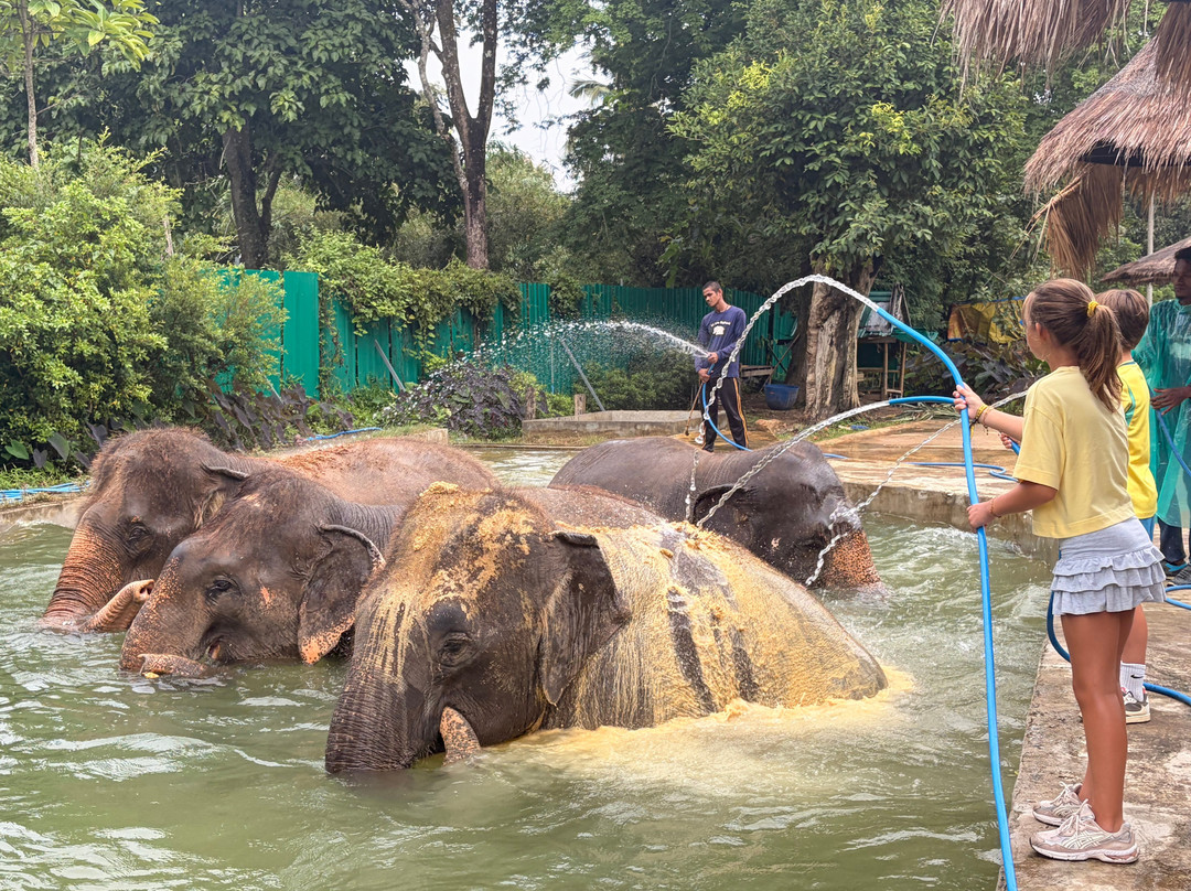 Lanta Island Elephant Lover