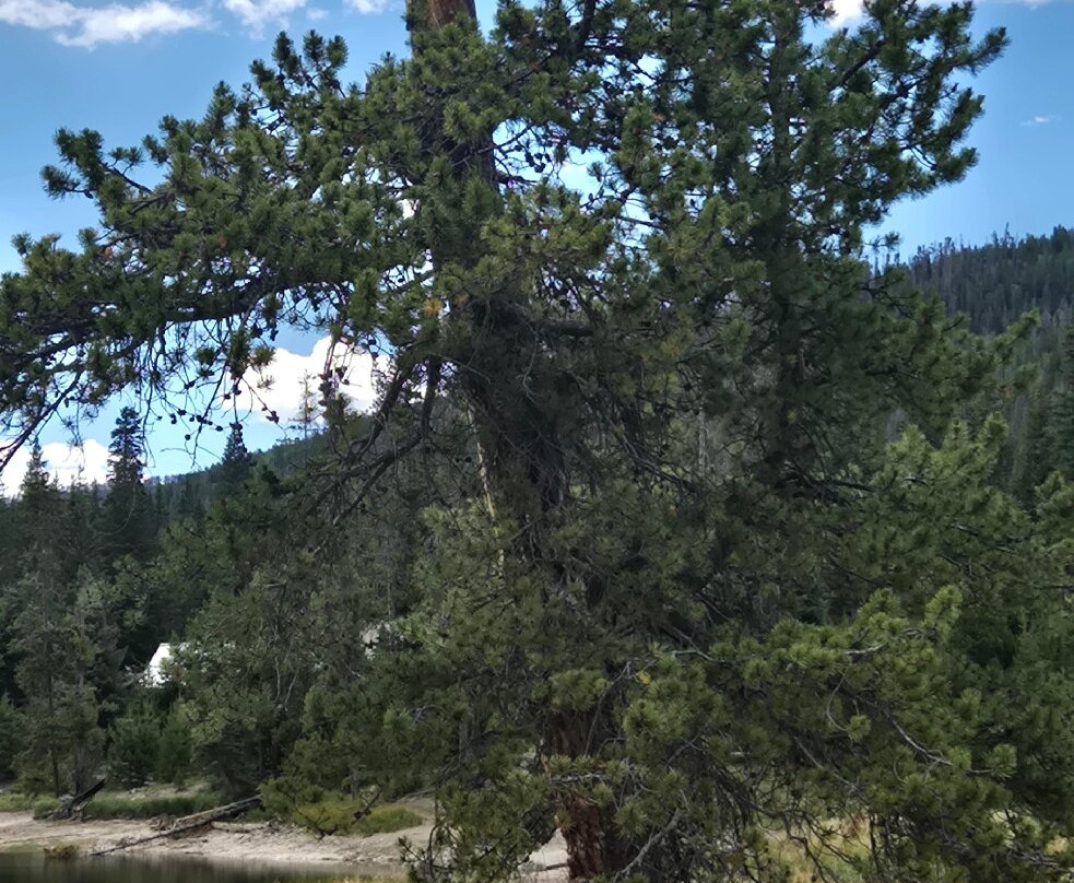 State Forest State Park-Walden必去景点