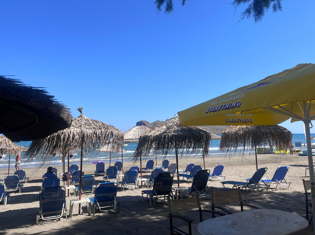 Elio Beach And Bar