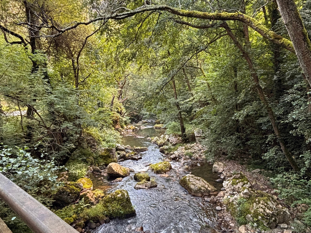 Senda Del Oso Experience - Teverastur-Teverga Municipality必去景点