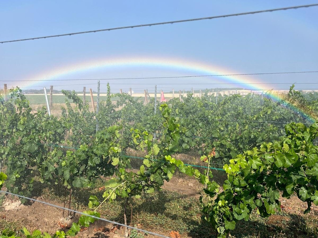 Domaine APRONIE-Marigny-le-Chatel必去景点
