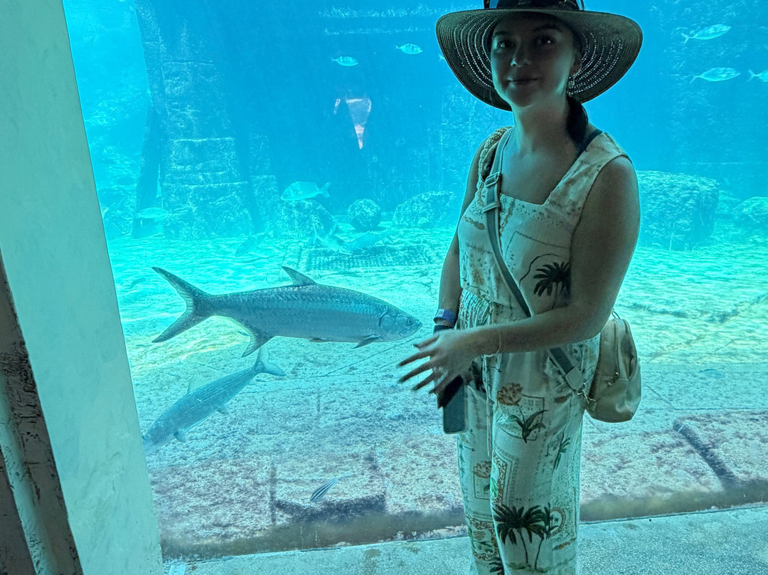 Marine Habitat at Atlantis-天堂岛必去景点