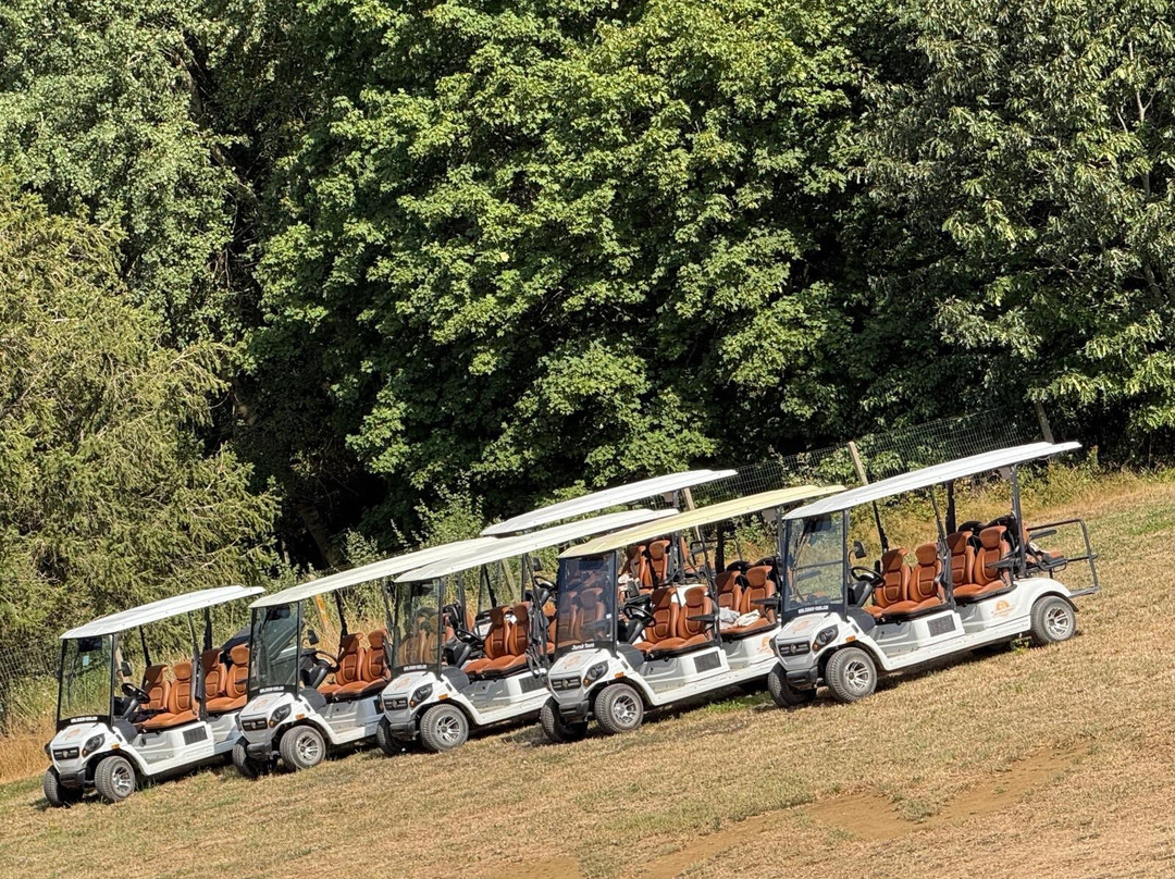 Wijnsafari in Hageland (Bekkevoort)-Bekkevoort必去景点
