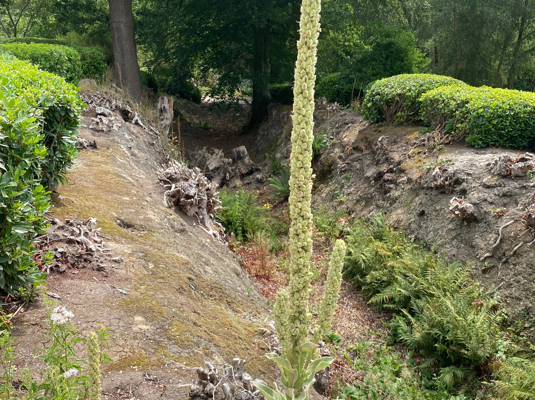 Scotney Castle Garden-Lamberhurst必去景点