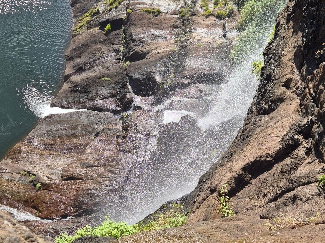 Tamarin Falls-Vacoas-Phoenix必去景点