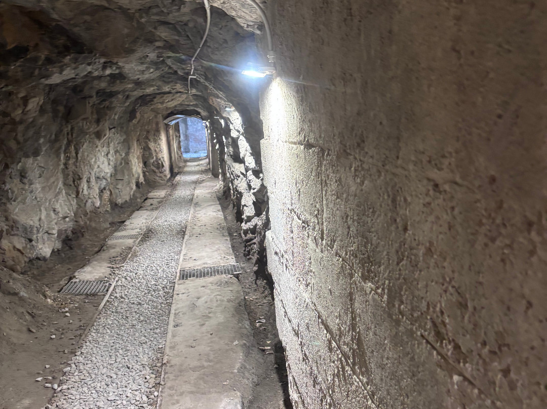 Museu del Ciment de Castellar de n'Hug-Castellar de n'Hug必去景点