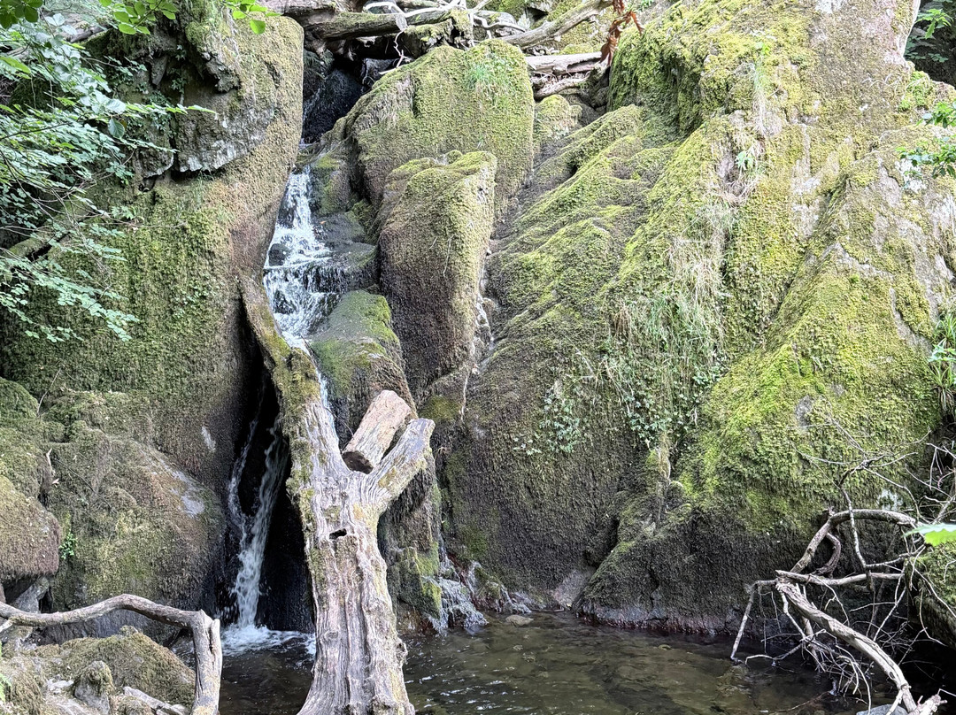 Stock Ghyll Force-安布赛德必去景点