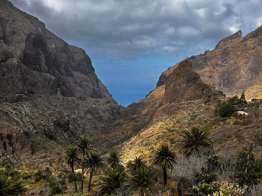Adventures Tenerife-La Esperanza必去景点