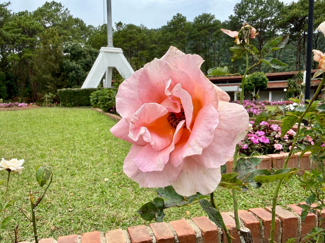 Khao Kho Royal Palace-考柯县必去景点