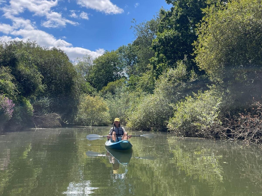 Pulborough Paddles-Pulborough必去景点