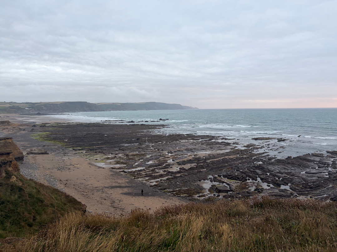 Sandparks Campsite Bude
