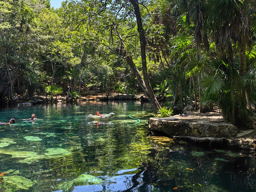 Dressel Divers - Barceló Maya Riviera-Barcelo Maya必去景点