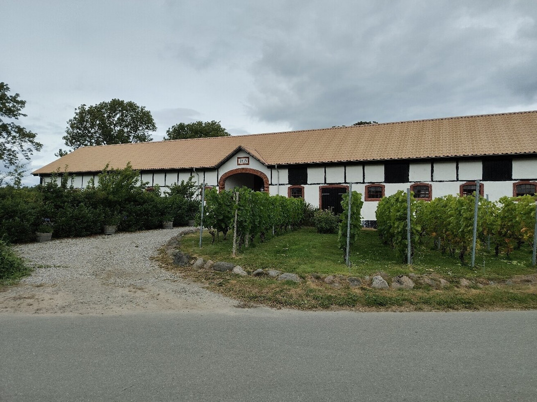 Samsø Vin Syndikat