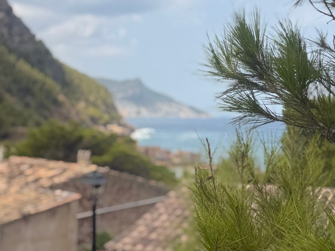 Port De Valldemossa-法德摩萨必去景点