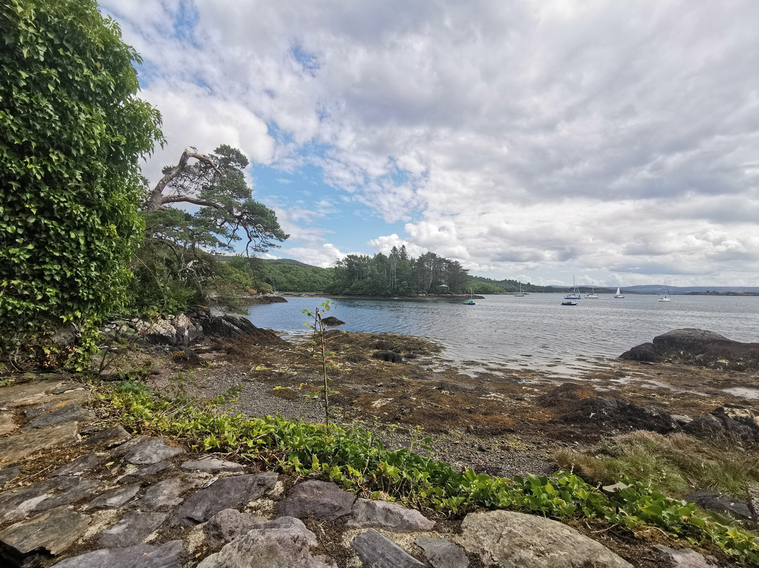 Glengarriff Bamboo Park-Glengarriff必去景点