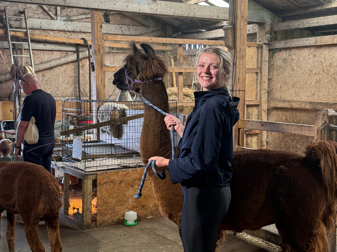 The Alpaca Trekking Centre-斯特灵必去景点